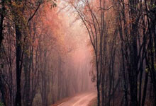 东升国际：[CBA]上海、广东状态在线 春节大战一触即发.