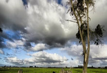 东升国际：[CBA]上海、广东状态在线 春节大战一触即发.