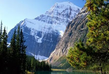 东升国际：八届赛会冠军小威廉姆斯现身迈阿密站，观看德约.