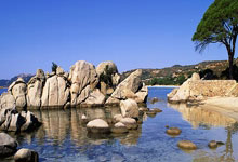 东升国际：亚冬会专利申请快速审查通道已开通2025-01-22.